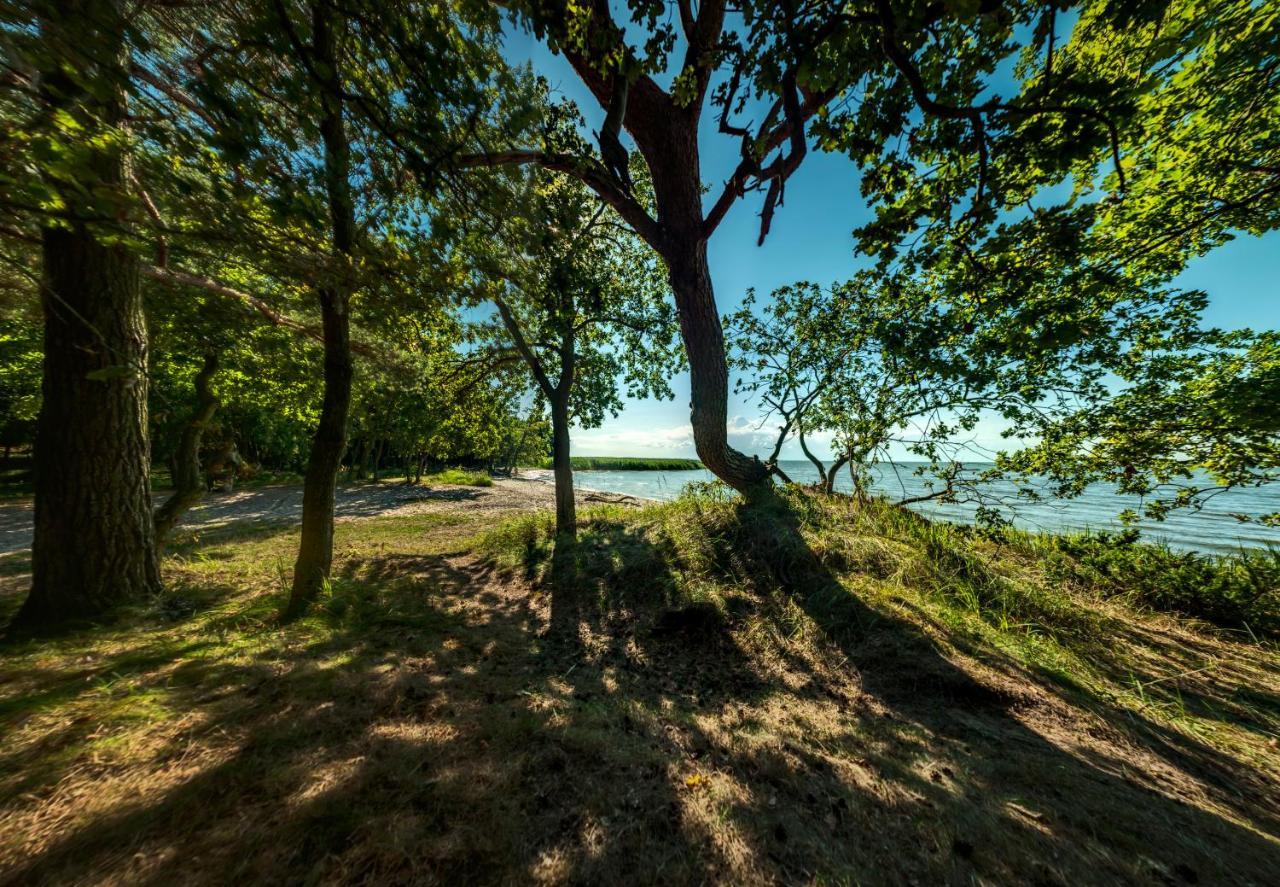 Traumhaff Kuestenchalets - Einzigartige Chalets An Der Ostsee. Ganz Aus Laerchenholz Mit Kamin Und Sauna Vogelsang-Warsin Kültér fotó